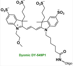 Bio-Synthesis Inc. Oligo Structure
